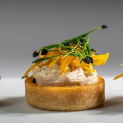 Tartelette et son bavarois de chataigne au Vadouvan, vermicelles de potimarron